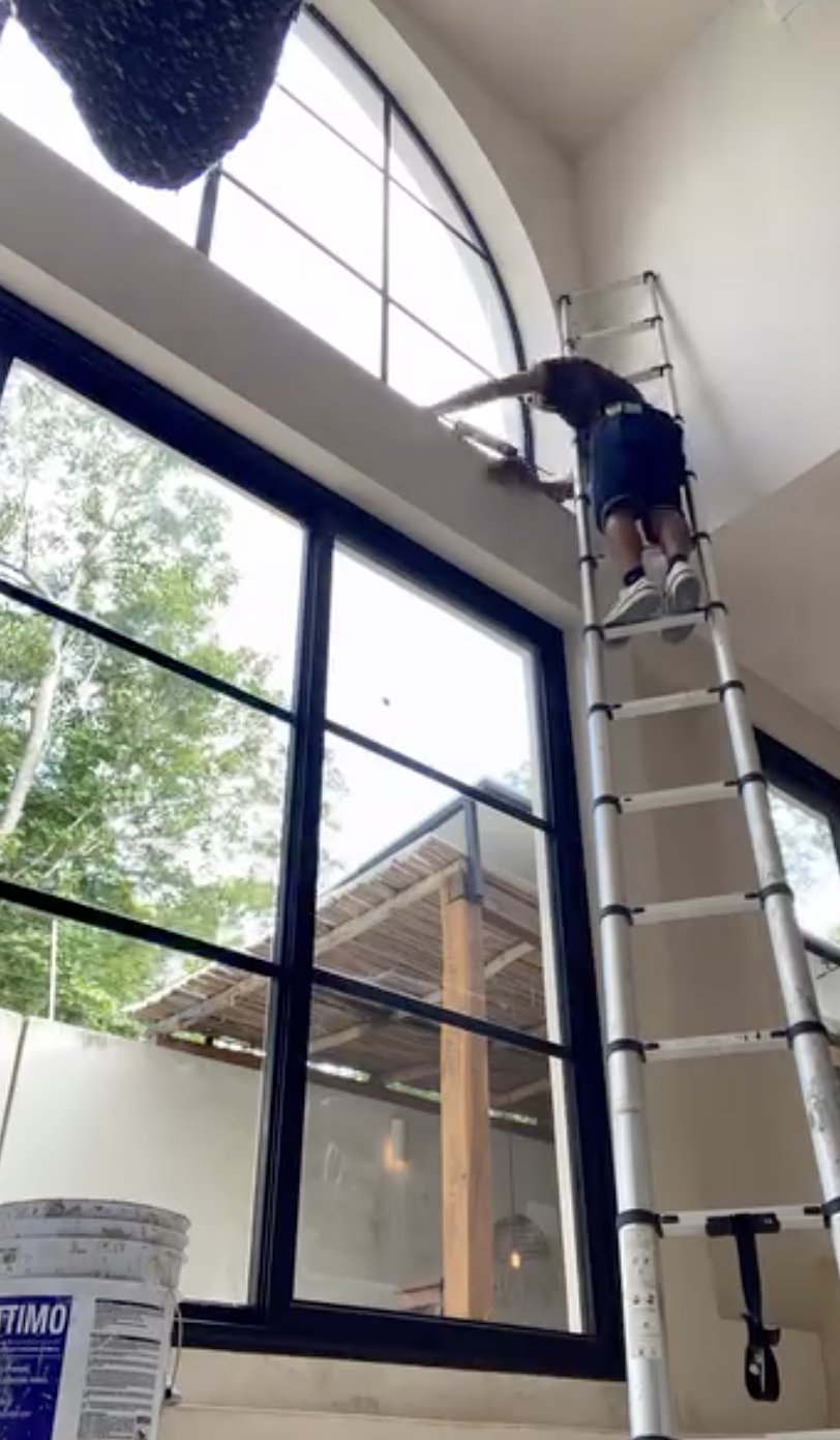 Double-height glazing with arched window in a Tulum villa