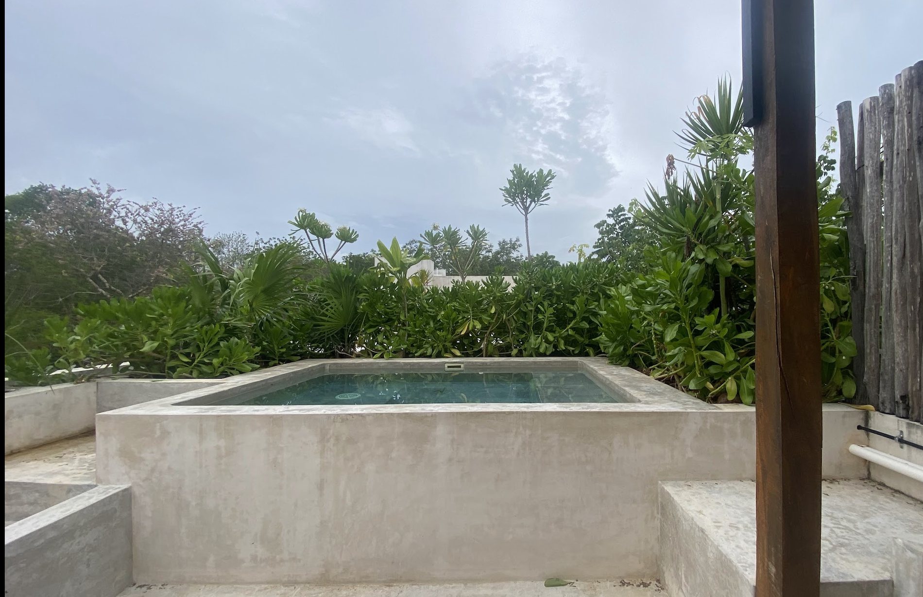 Finished concrete plunge pool surrounded by tropical planting in Tulum